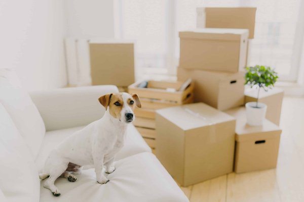 Quelles alternatives aux talons hauts pour une soirée de gala qui demande à rester debout plusieurs heures?